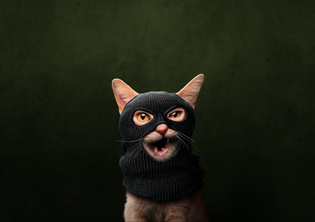 Brussels Environment — Animal welfare